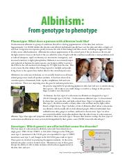 Albinism geno to pheno.pdf