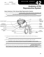 anatomy of the reproductive system.pdf