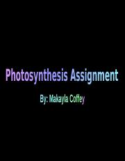Photosynthesis_Assignment