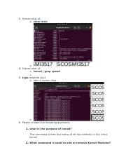 CIS305_SSmith_Manage the Linux Kernel.docx
