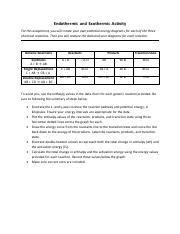 Exothermic and Endothermic Activity.pdf
