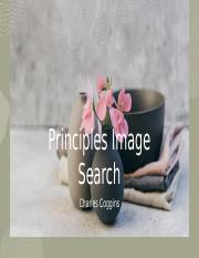 Principles Image Search.pptx