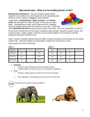Elizabeth Yi - Macromolecules_ Lion and Elephant Diets - Google Docs.pdf