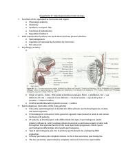 Endocrinology Final 2.docx