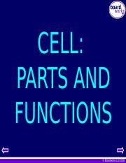 2. Cell Parts and Functions1 (1).pptm