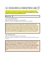 Sensation & Perception Lab Report (TEST).pdf