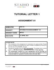 INF101 Assignment_ (002).pdf