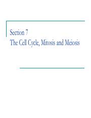 Section 7 - mitosis.pdf