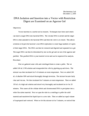 DNA Isolation and Insertion