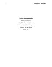 Corporate Social Responsibility Essay 8.3 Jankowski MK.docx