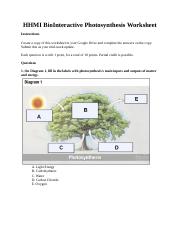 Copy of HHMI BioInteractive Photosynthesis Worksheet.docx