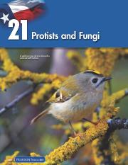 Protists and Fungi Ch21.pdf