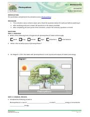 Photosynthesis-StudentWS-animation.pdf