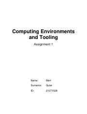 Assignment1_Computing Environments and Tooling_MertGuler_21071528.pdf