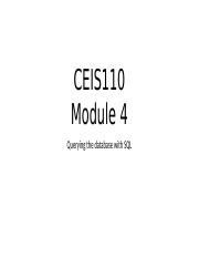 CEIS110_Project_Template_Module_Deliverable_Week_4_v3 (1) (1).pptx