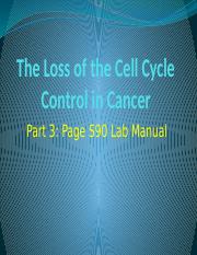 The Loss of the Cell Cycle Control