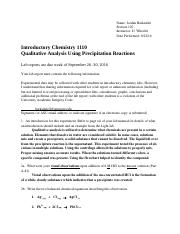 Qualitative Analysis Lab Report Submission