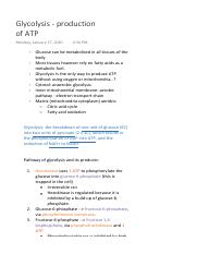 Glycolysis - production of ATP.pdf
