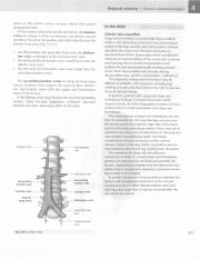 格氏解剖学  教学版  第2版  英文版  影印版_395.pdf