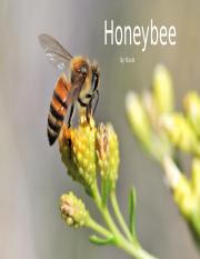 CR Presentation Honey Bees.pptx