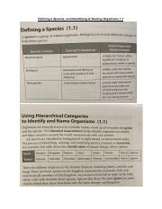 002c - Defining a Species, and Identifying and Naming Organisms 1.1.pdf