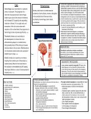 Stroke_Review Sheet_Filled Out (2).docx