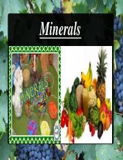 L 13 minerals.pdf