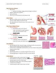 5. Function of Muscles.docx