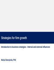 10.Strategies_for_firm_growth.ENG.pptx