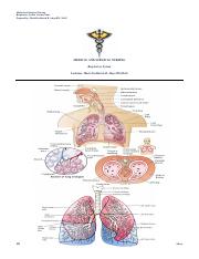 Respiratory Notes.pdf