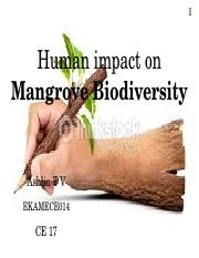 Mangrove forest.pptx