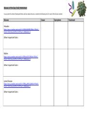 Diseases of the Day Daily Worksheet.docx