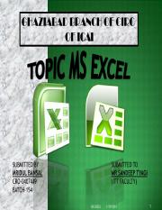ms-excel-ppt-presentation.pdf