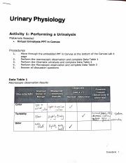 Urinary Physiology.pdf