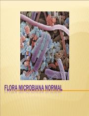 PPT5. Flora bacteriana.ppt