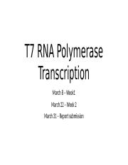 T7 RNA Polymerase Transcription_2022(2).pptx