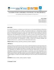 PROYECTO INTEGRADOR CALCULO (1).pdf