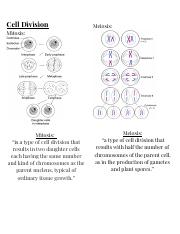 Cell Division & Differentiation Poster.docx