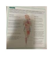 cardiorespiratory endurance exercise .pdf
