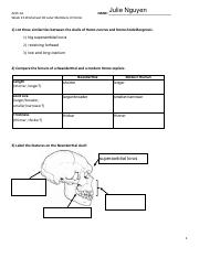 week 13 worksheet #2 later homo (fillable).pdf