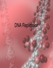 DNA Replication Notes.pdf