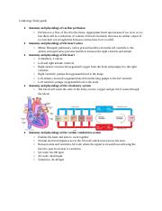 Cardiology Fisdap study guide.docx