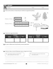 322445437 Repaso Naturales 5 Primaria Pdf Pdf Unidad 1 1 Repaso Nombre Fecha Curso Coloca La Letra Donde Corresponda Para Clasificar Las Siguientes Course Hero