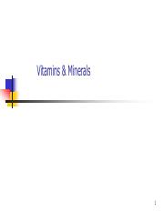 2019-9-NFS386-VitaminMineral-Tech-slides.pdf