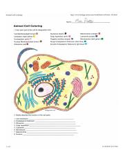 Amimal Cell Coloring sheet - Animal Cell Coloring http : / / www . biology  corner .com worksheets / ce sheets / cellcolor old . html Mrs . | Course  Hero