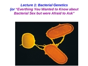 Lecture_1_(bacterial_genetics)_PP2003