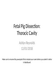 Fetal Pig Dissection Lab Thoracic Cavity FINAL.pptx