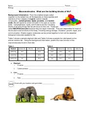 Lion Elephant Macromolecules 2019.docx.pdf