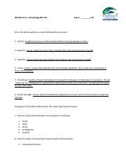 MT151 Worksheet 2.pdf