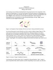 Homework 5 Bacterial Unknowns.docx